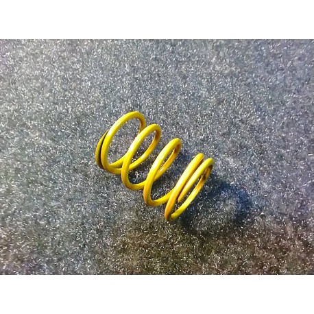 RR SHOCK SPRING (Y)