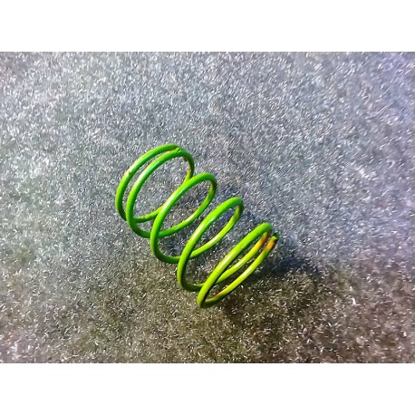 RR SHOCK SPRING (G)