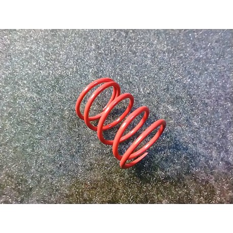 RR SHOCK SPRING (R)