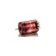 QUICRUN 3650SD 21.5T RED