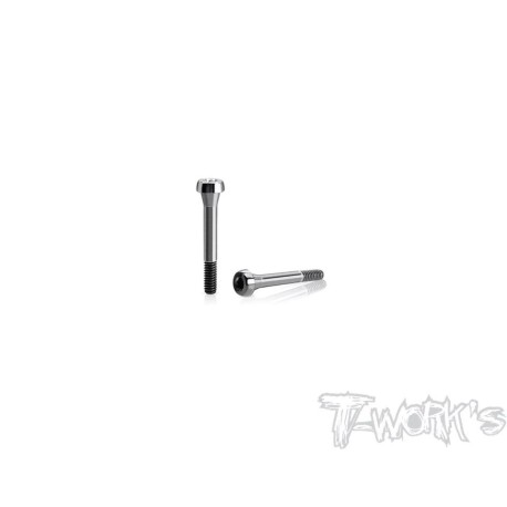 T-Work`s Titanium Body Shell Downtravel Limiter Sc