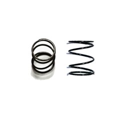 SPR12F-C0.9 Front Spring x 2