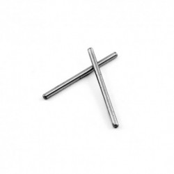 Hinge pins lower rear (2)
