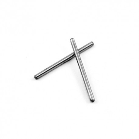 Hinge pins lower rear (2)